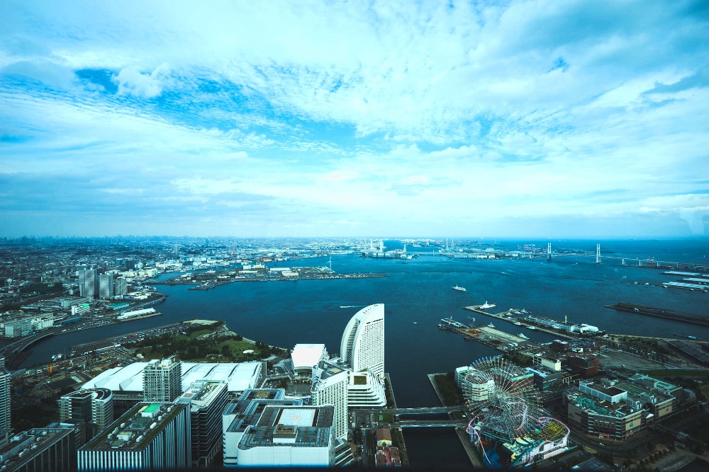 横浜ブル―カーボン事業の取り組み事例