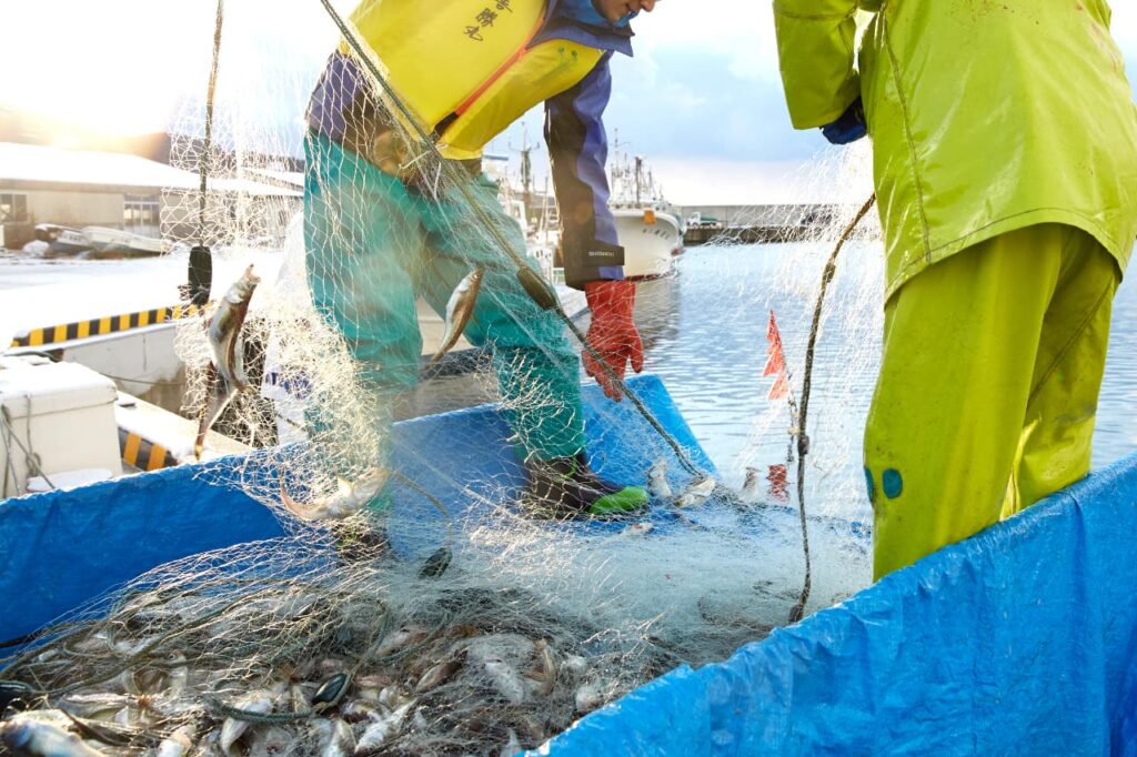水産庁のみどり戦略に見る、漁業の脱炭素化政策